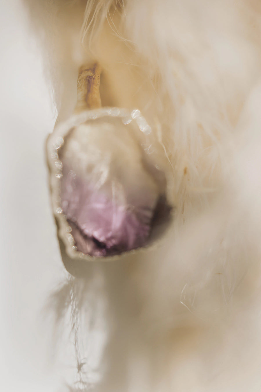 Ametrine · Amethyst and Citrine Ring · Rings ·  Little Sycamore
