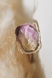 Ametrine · Amethyst and Citrine Ring · Rings ·  Little Sycamore