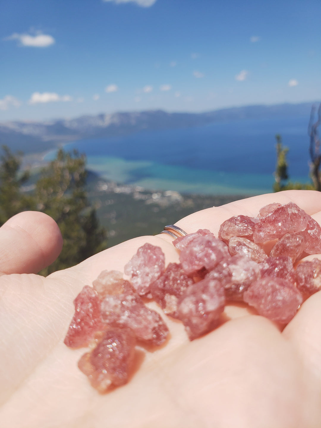 Cherry Tanzurine Ring · Rings ·  Little Sycamore