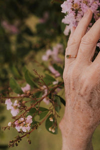 Clover · August Stackable Ring · Rings ·  Little Sycamore
