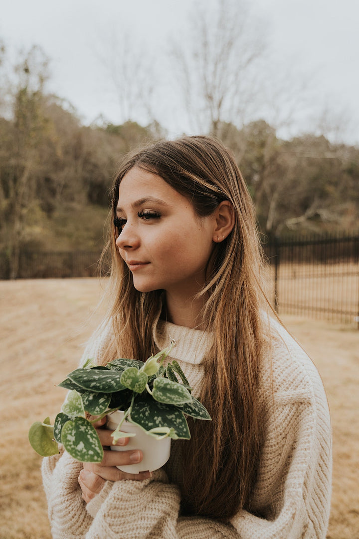 Double Hoop Earrings · Earrings ·  Little Sycamore