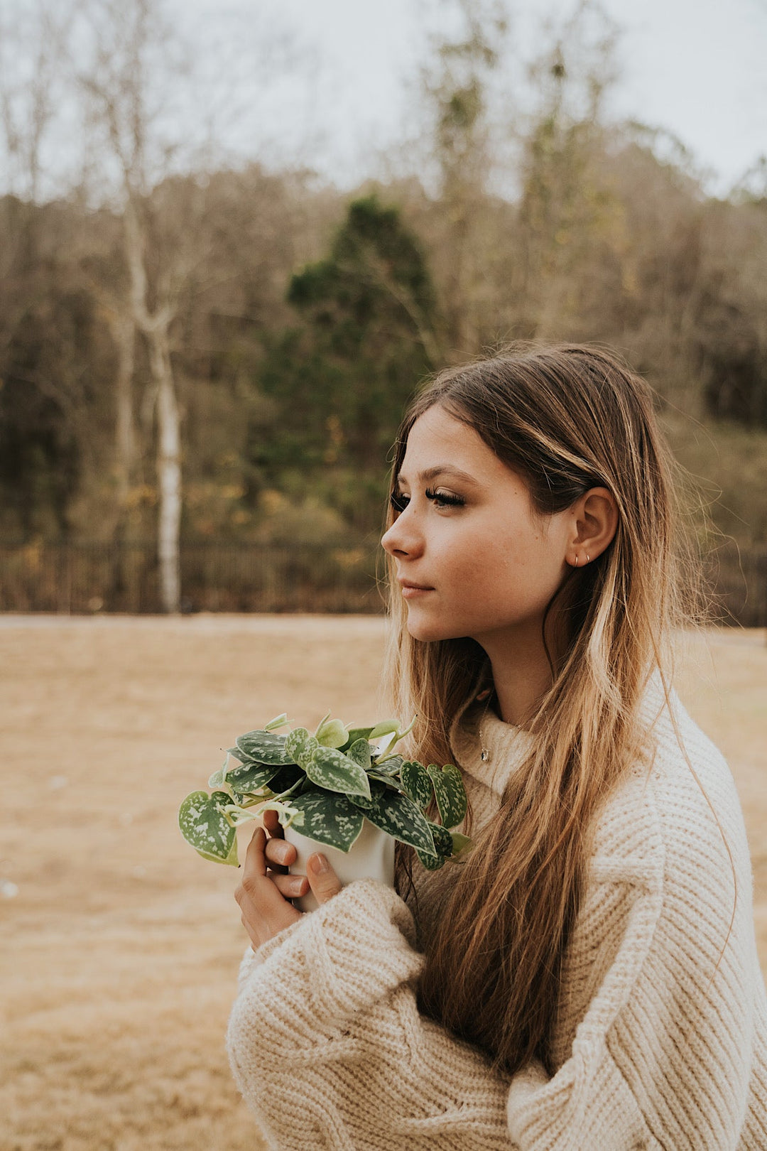 Double Hoop Earrings · Earrings ·  Little Sycamore