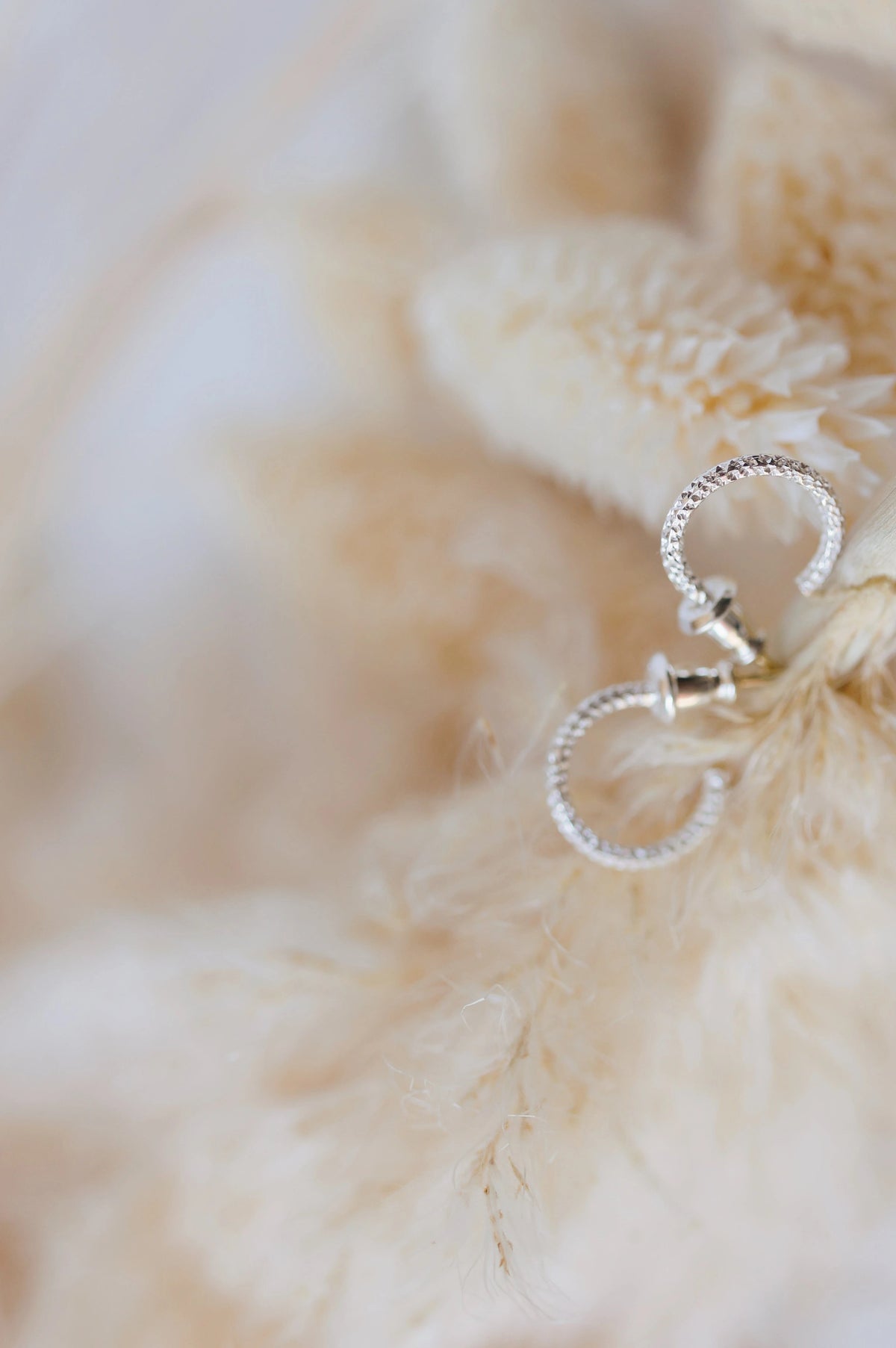 Glimmer Hoop Earrings · Earrings ·  Little Sycamore