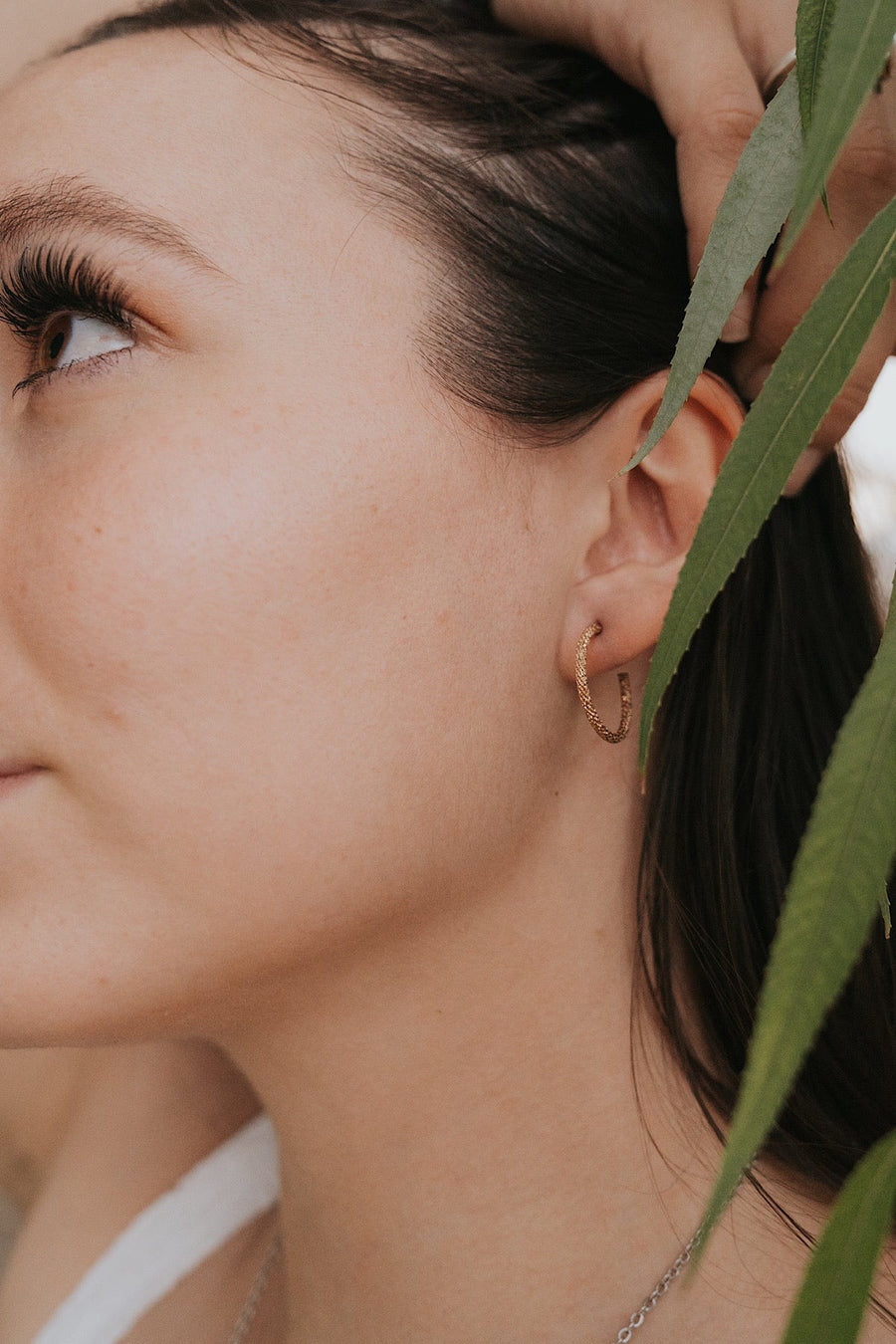 Glimmer Hoop Earrings · Earrings ·  Little Sycamore