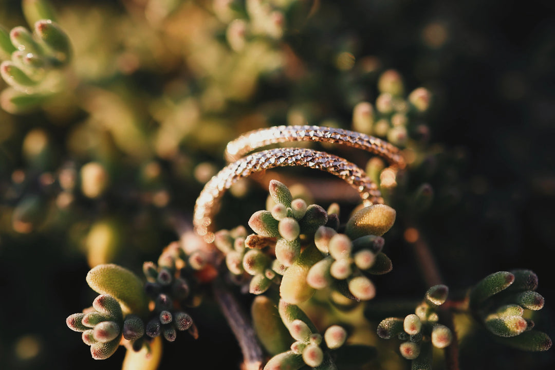 Larger Glimmer Ring · Rings ·  Little Sycamore