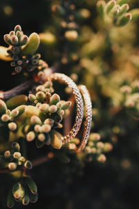 Larger Glimmer Ring · Rings ·  Little Sycamore