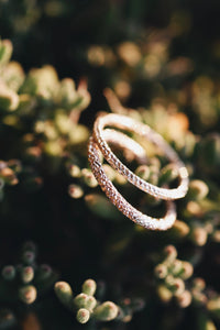 Larger Glimmer Ring · Rings ·  Little Sycamore