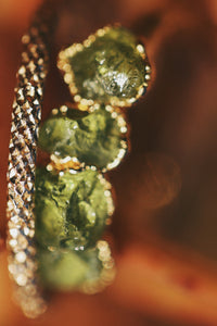 Lucky Clover · August Stackable Ring · Rings ·  Little Sycamore