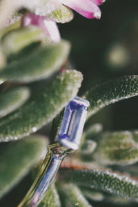 Mini December Stackable Ring · Rings ·  Little Sycamore