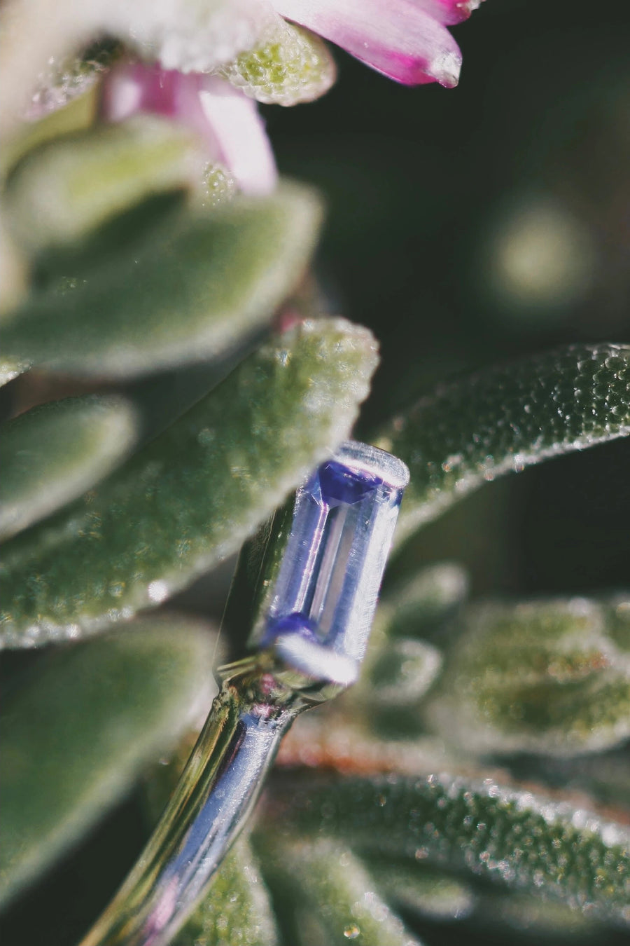 Mini December Stackable Ring · Rings ·  Little Sycamore