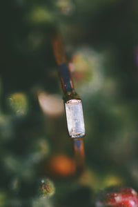 Mini June Stackable Ring · Rings ·  Little Sycamore