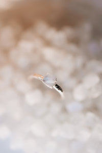 Moon · June Stackable Ring · Rings ·  Little Sycamore