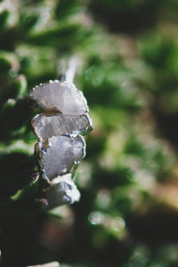 Moonbeam · June Stackable Ring · Rings ·  Little Sycamore