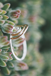 Multi Rainbow Ring · Rings ·  Little Sycamore