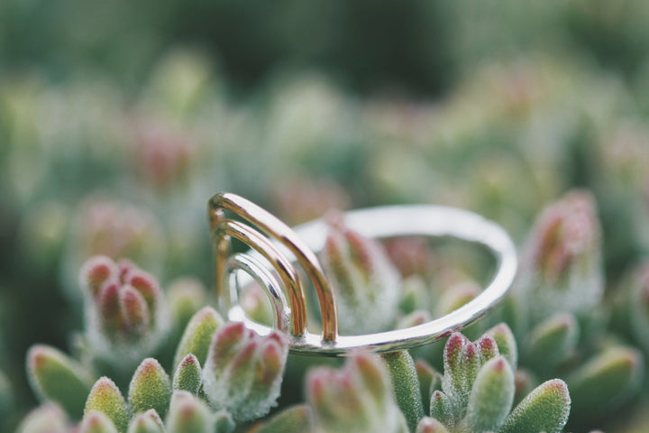 Multi Rainbow Ring · Rings ·  Little Sycamore