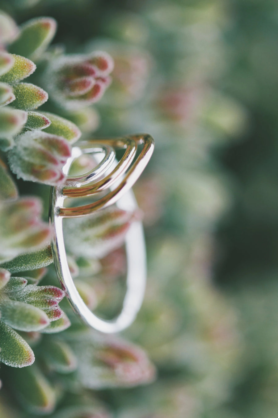 Multi Rainbow Ring · Rings ·  Little Sycamore
