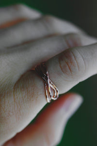 Nest Ring (Discontinued) · Rings ·  Little Sycamore