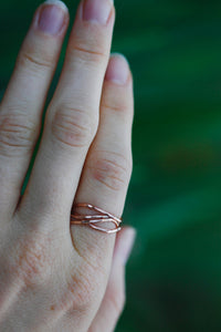 Nest Ring (Discontinued) · Rings ·  Little Sycamore
