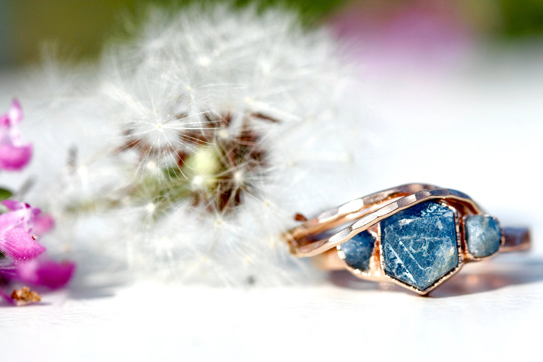 Nest Ring (Discontinued) · Rings ·  Little Sycamore