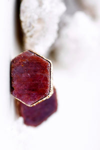 Passion Studs • Ruby · Earrings ·  Little Sycamore