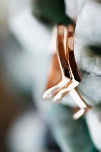 Peak Ring · Rings ·  Little Sycamore