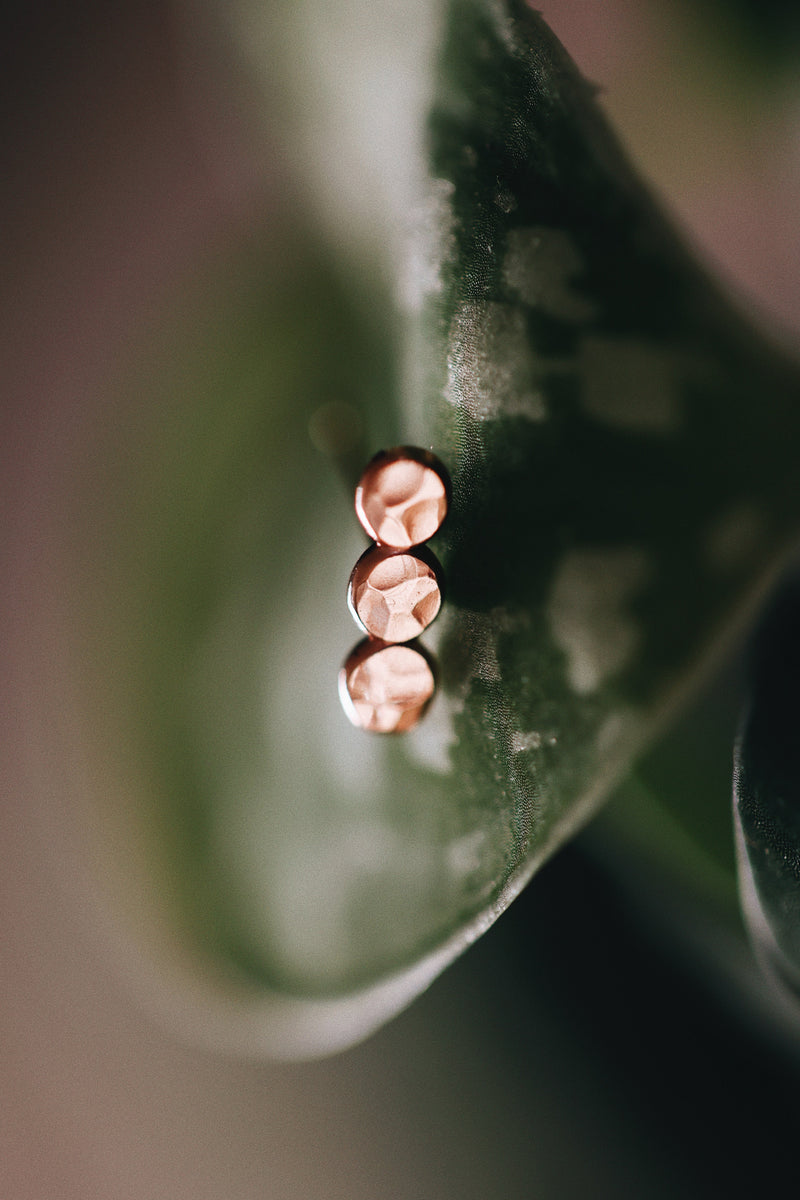 Pebble Stud Earrings · Earrings ·  Little Sycamore