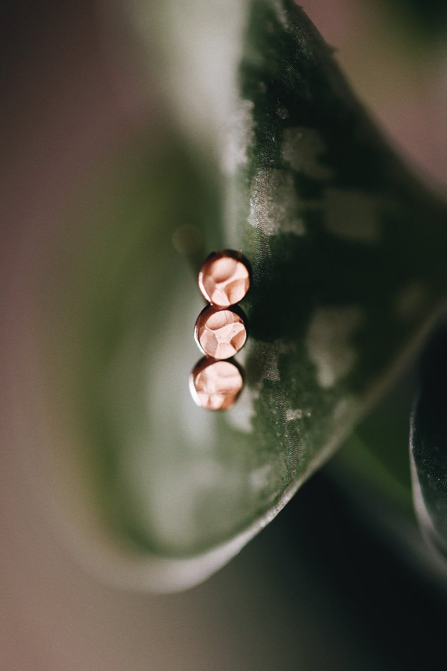 Pebble Stud Earrings · Earrings ·  Little Sycamore
