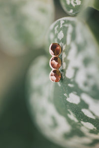 Pebble Stud Earrings · Earrings ·  Little Sycamore