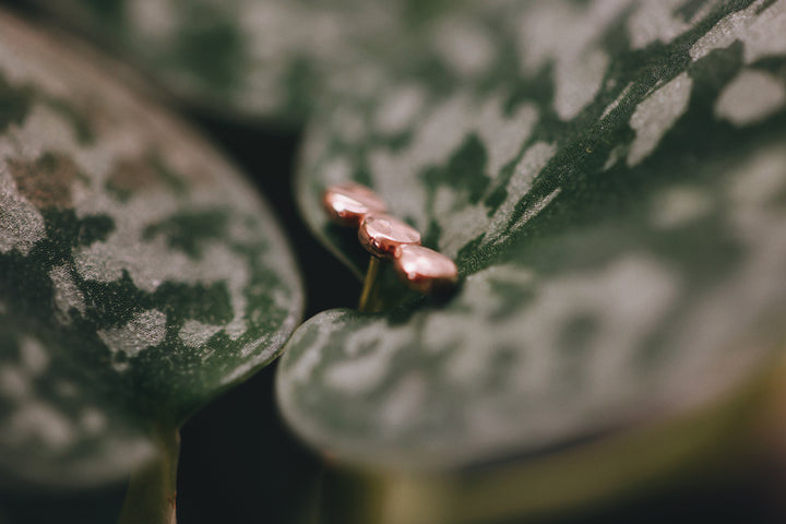 Pebble Stud Earrings · Earrings ·  Little Sycamore