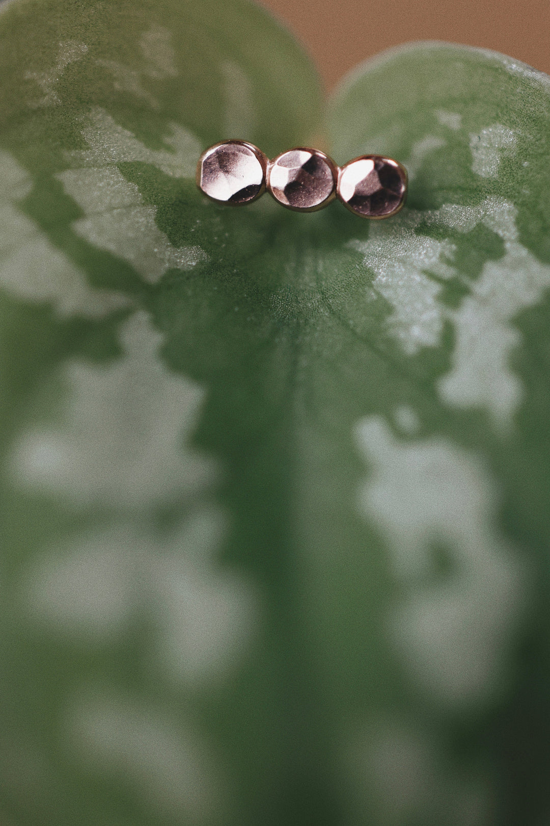 Pebble Stud Earrings · Earrings ·  Little Sycamore