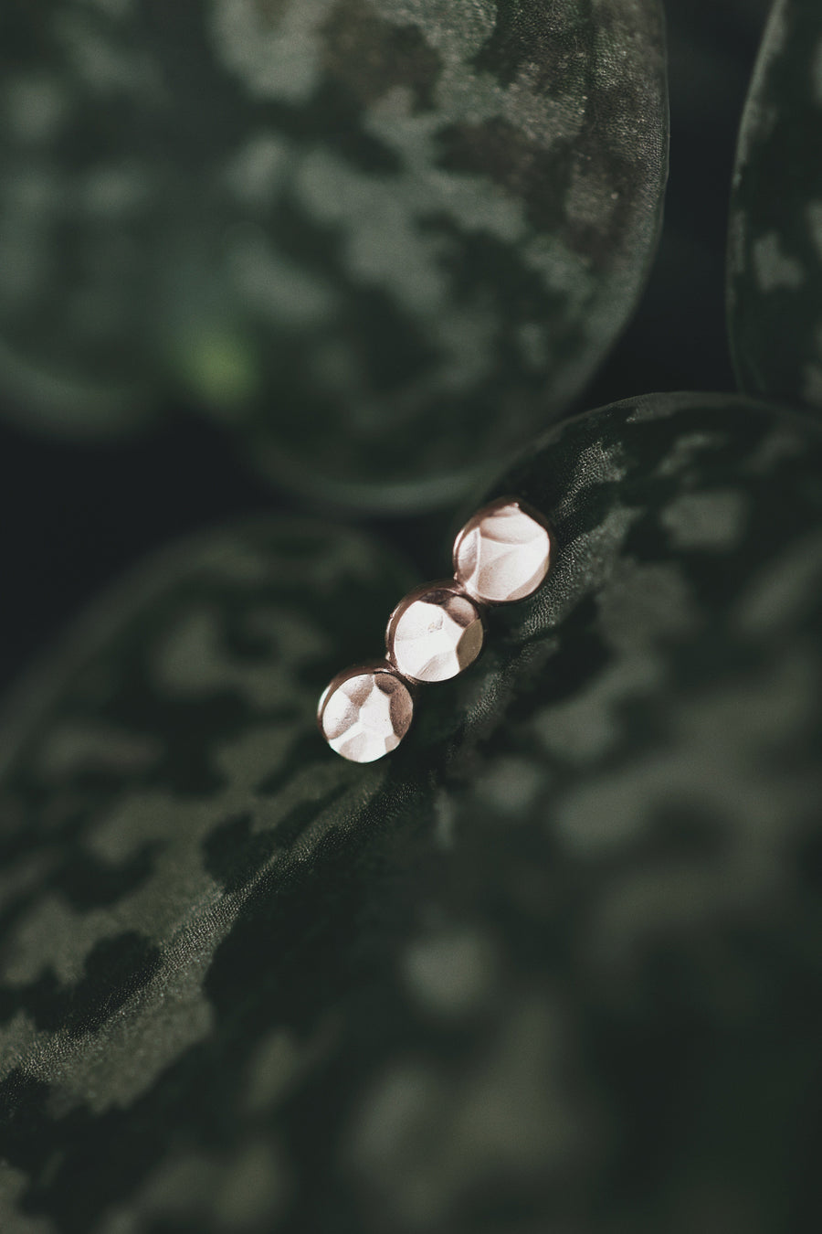 Pebble Stud Earrings · Earrings ·  Little Sycamore