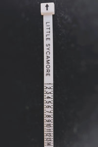 Ring Sizing Tool · Rings ·  Little Sycamore
