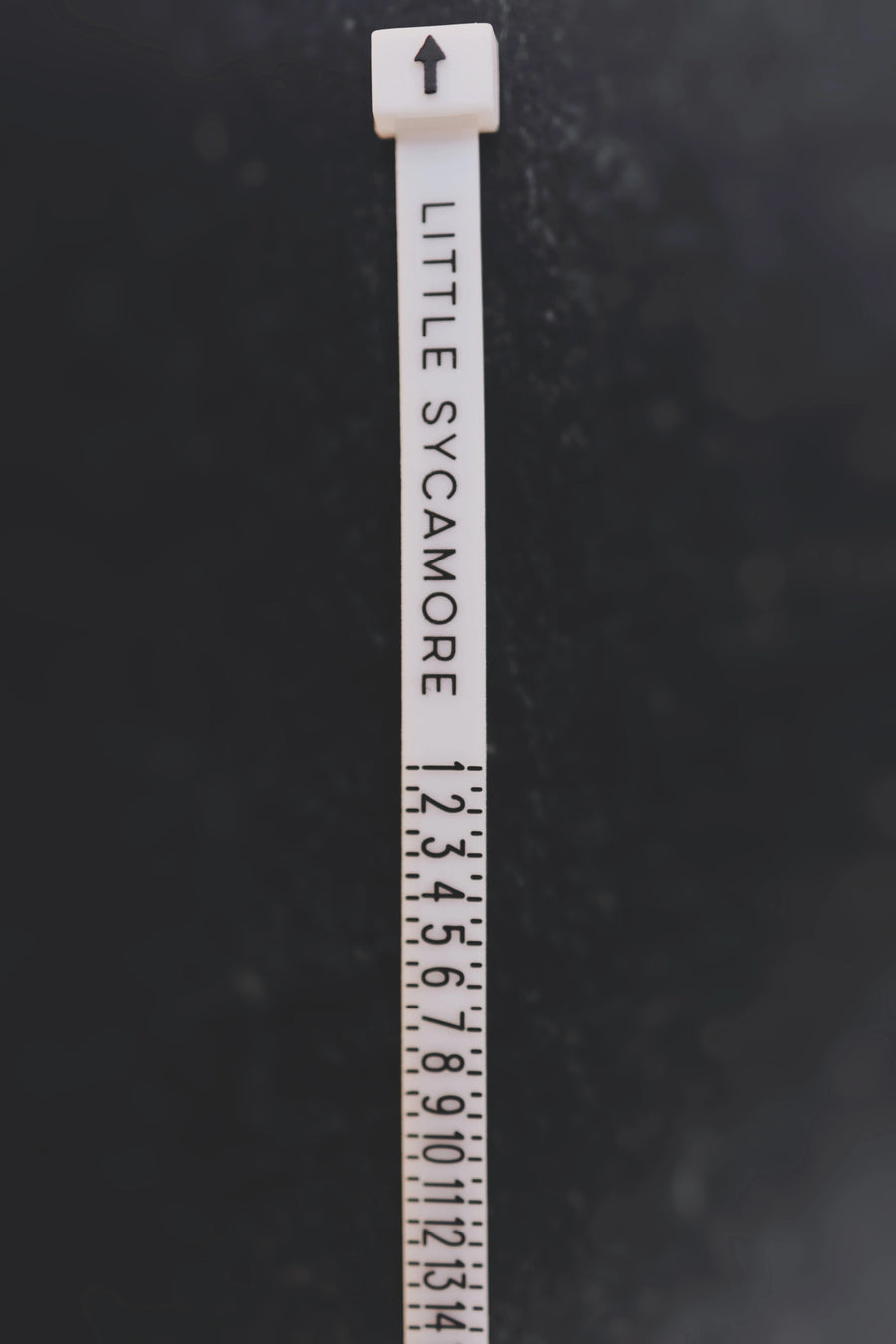 Ring Sizing Tool · Rings ·  Little Sycamore