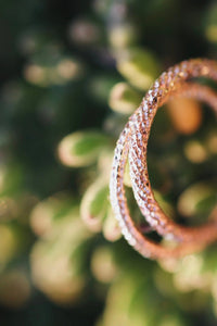 Smaller Glimmer Ring · Rings ·  Little Sycamore