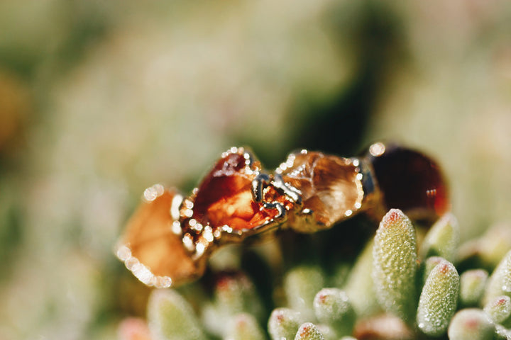 Sunbeam · November Stackable Ring · Rings ·  Little Sycamore