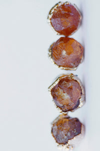 Sunshine Studs · Garnet · Earrings ·  Little Sycamore
