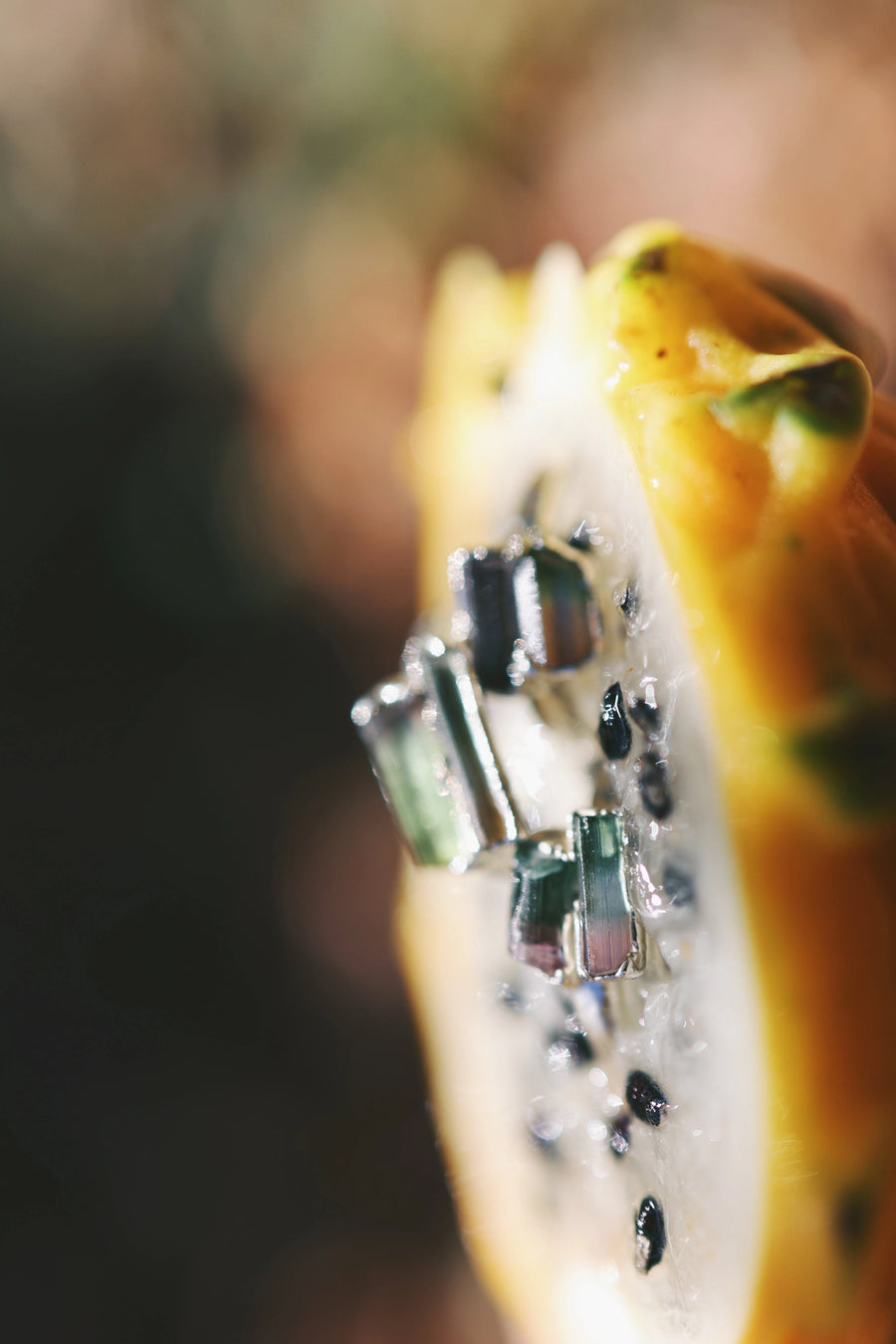 Watermelon Tourmaline Ring [CLimited Edition] · Rings ·  Little Sycamore