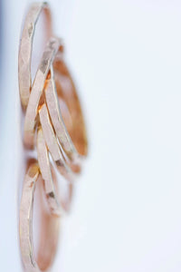 Wave Ring · Rings ·  Little Sycamore