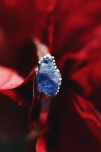 Winter · December Stackable Ring · Rings ·  Little Sycamore