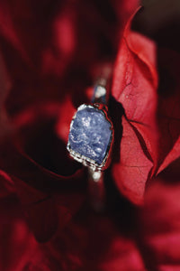 Winter · December Stackable Ring · Rings ·  Little Sycamore