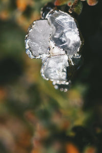 Zen · Sapphire and Topaz RIng · Rings ·  Little Sycamore