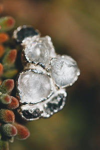 Zen · Sapphire and Topaz RIng · Rings ·  Little Sycamore